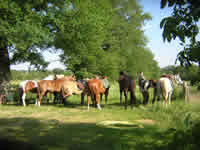 randonn�e � cheval